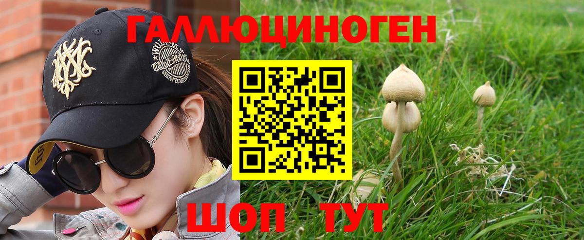 Галлюциногенные грибы прущие грибы Чебоксары