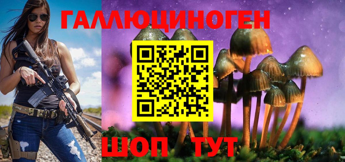 Псилоцибиновые грибы Psilocybine cubensis  Вход с VPN  Чебоксары 